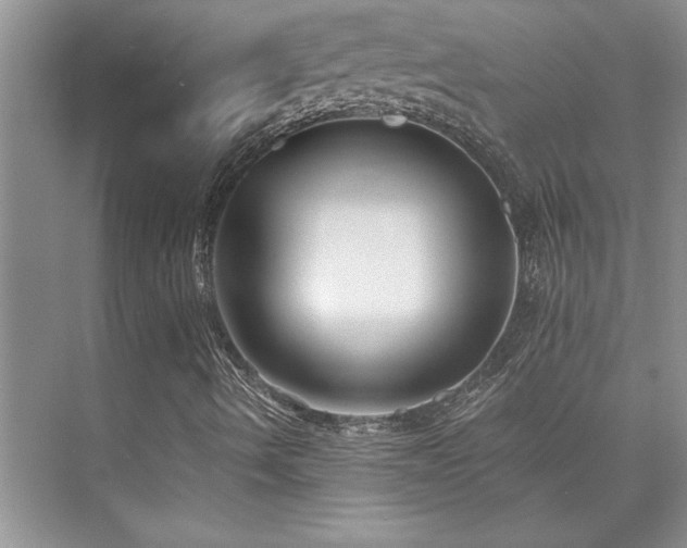 X0000073841490200608101215