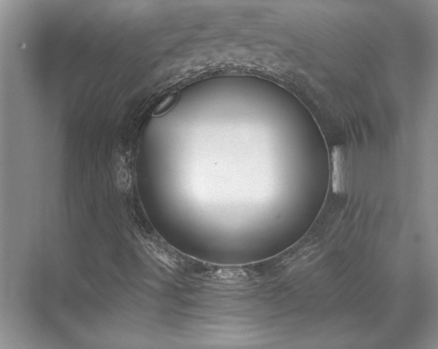 X0000073841491200608101215