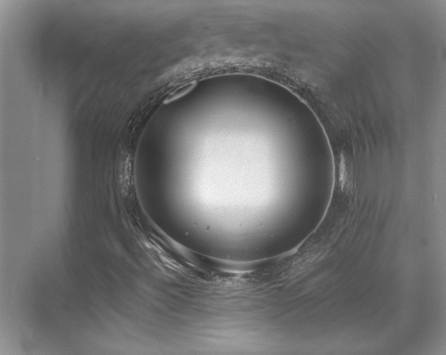 X0000073841492200608101215
