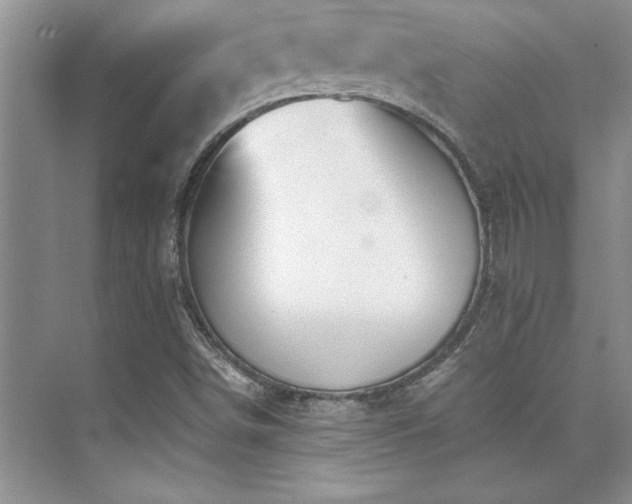 X0000073841498200608101216