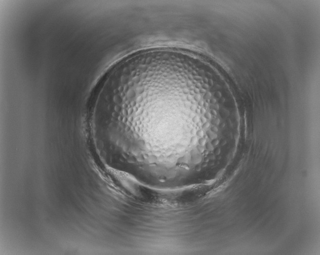 X0000073841501200608101216