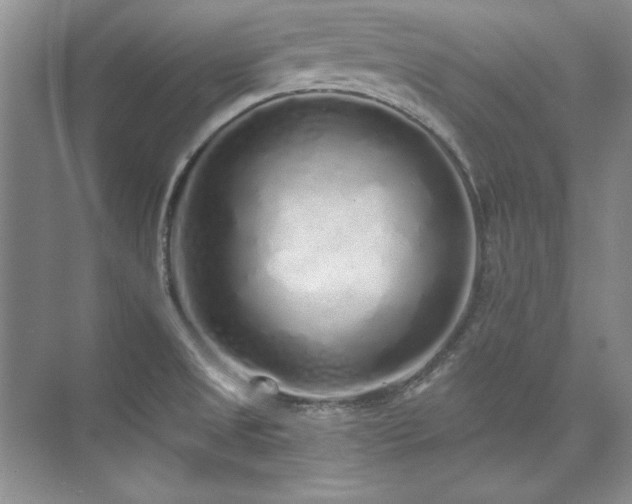 X0000073841525200608101216