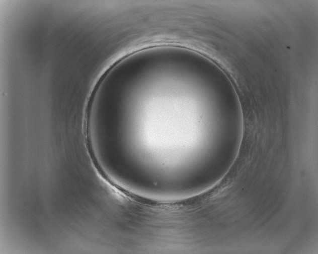 X0000073841527200608101216
