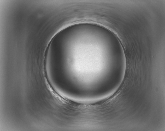 X0000073841534200608101216