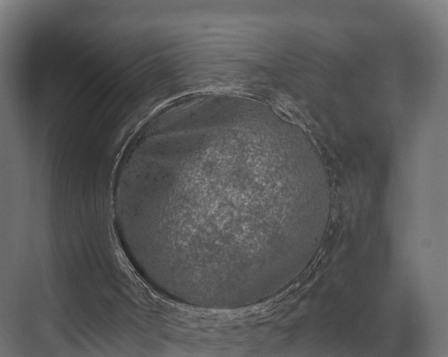 X0000073840002200608171019