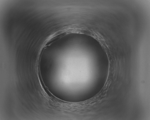 X0000073840003200608171019