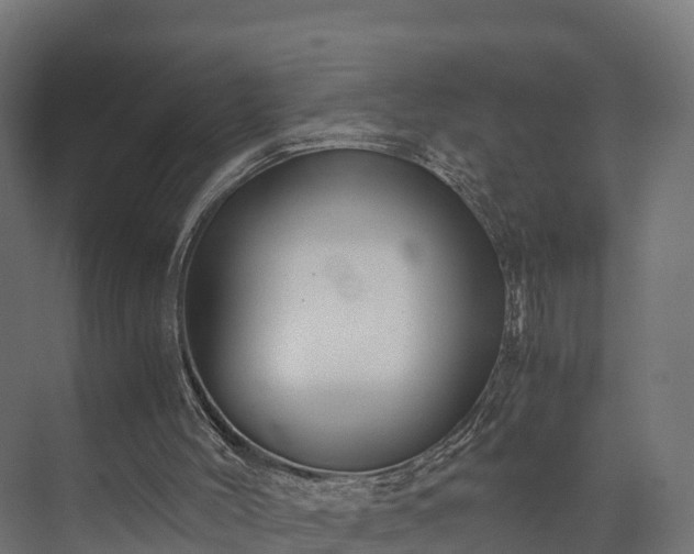 X0000073840004200608171019