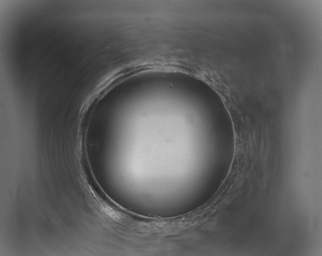 X0000073840005200608171019