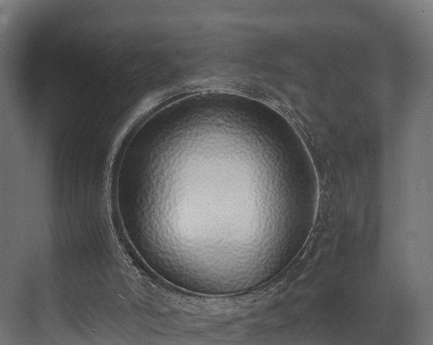 X0000073840006200608171019