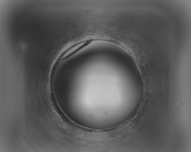 X0000073840008200608171019