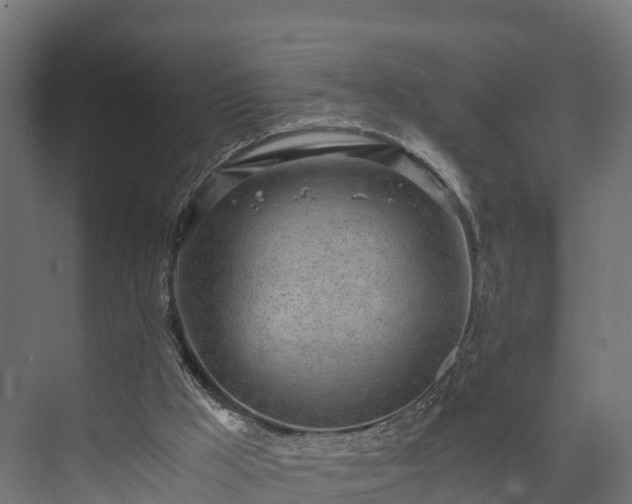 X0000073840009200608171019