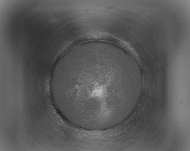 X0000073840010200608171019