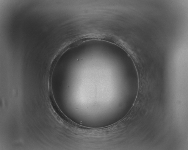 X0000073840011200608171019