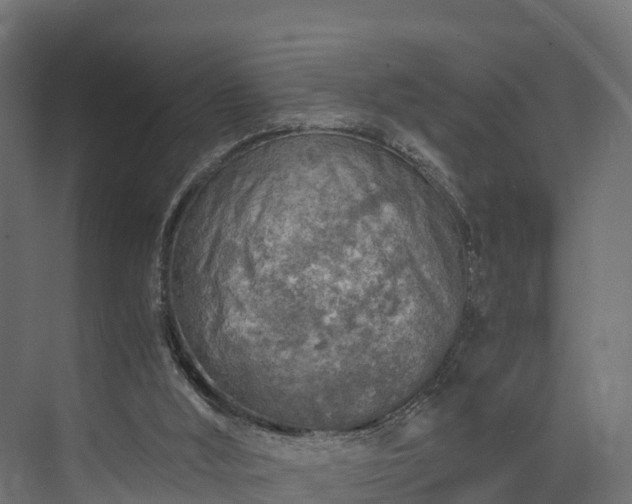 X0000073840012200608171019