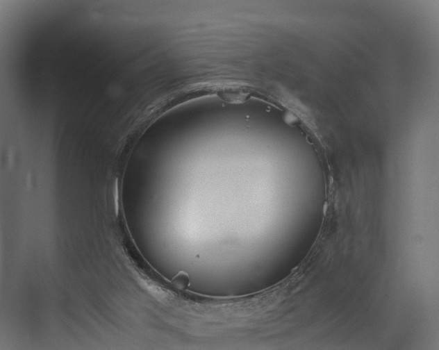 X0000073840013200608171019