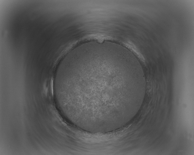 X0000073840014200608171019