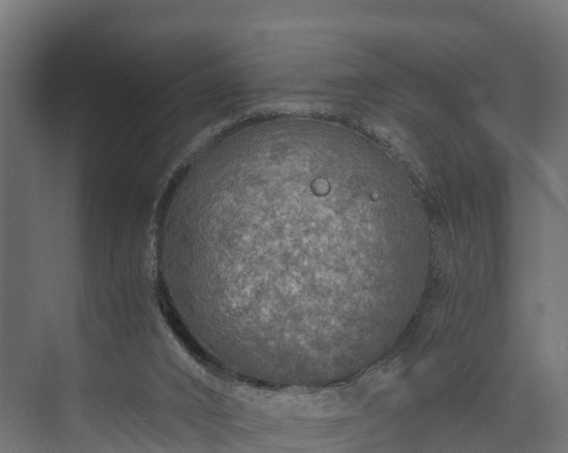 X0000073840016200608171018