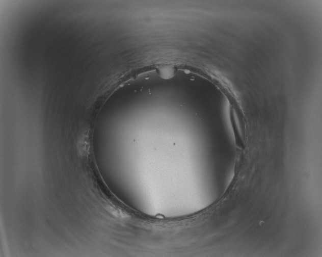 X0000073840017200608171018