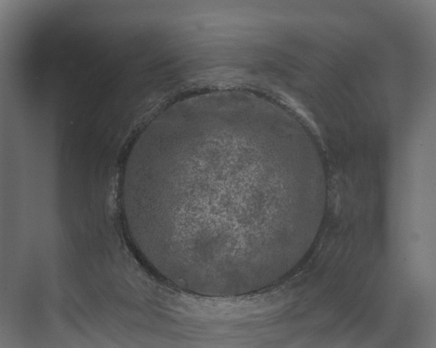 X0000073840018200608171018