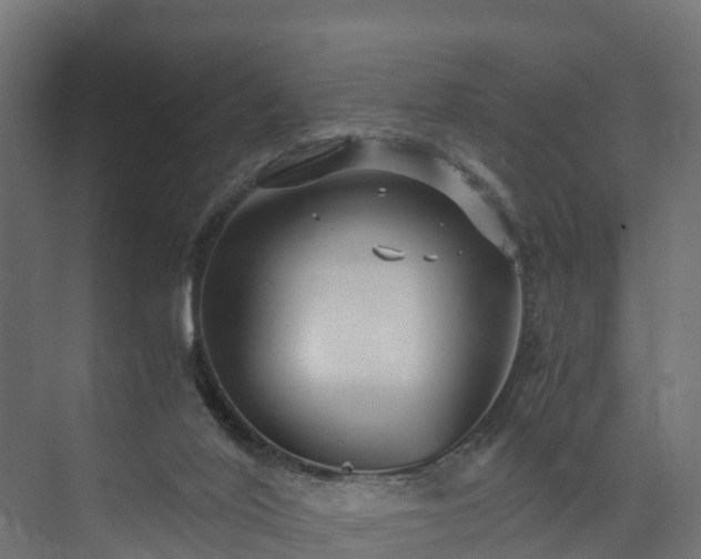 X0000073840020200608171018