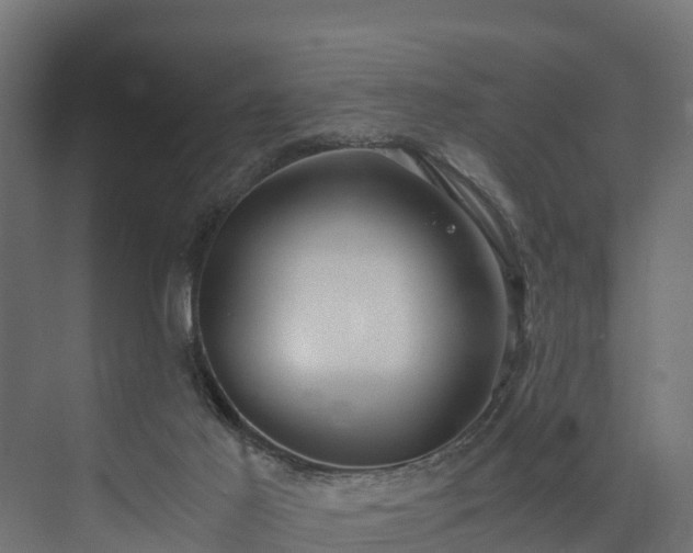 X0000073840021200608171018