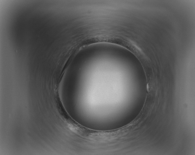 X0000073840025200608171018