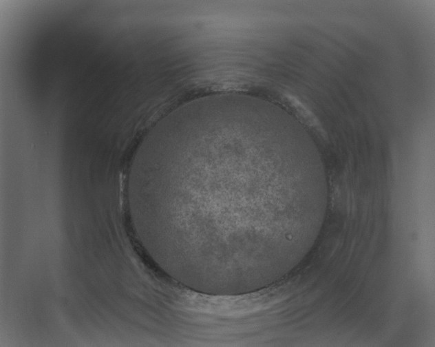 X0000073840026200608171018