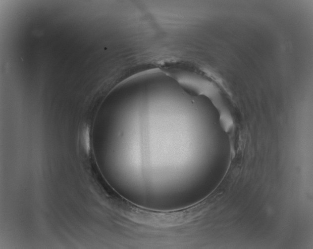 X0000073840027200608171018