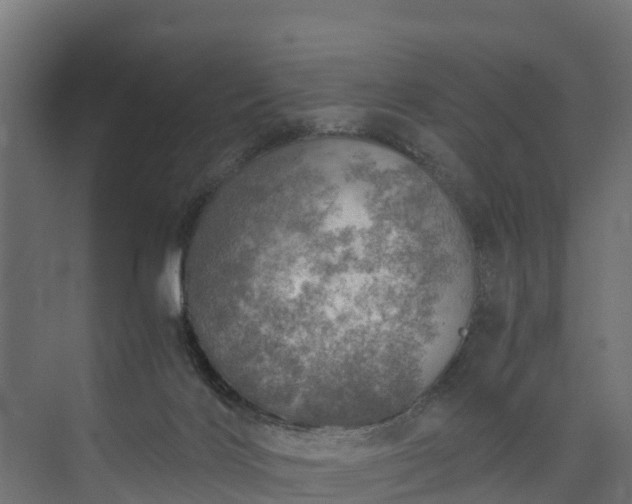 X0000073840028200608171018