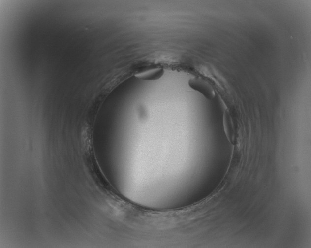 X0000073840029200608171018