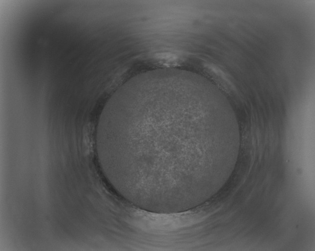 X0000073840030200608171018