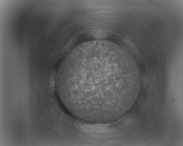 X0000073840032200608171018