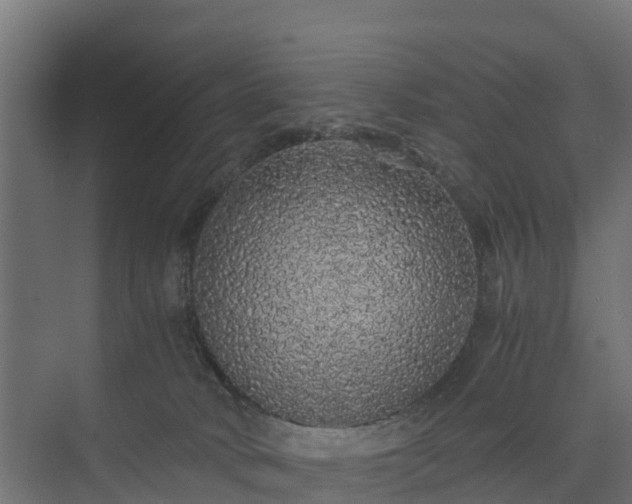 X0000073840034200608171018