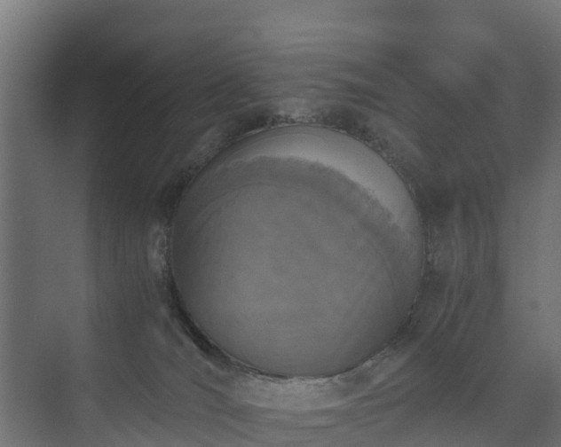 X0000073840036200608171018