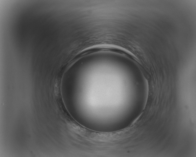 X0000073840037200608171018