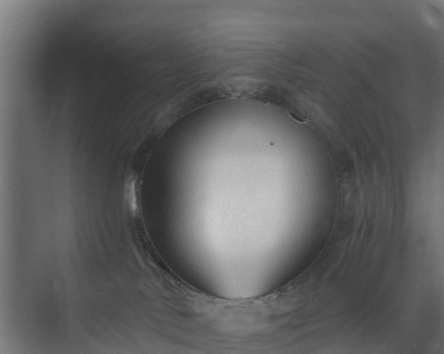 X0000073840042200608171018