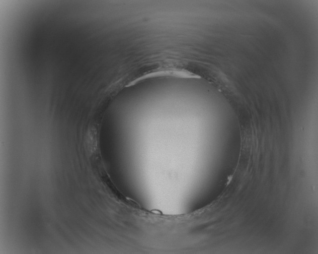 X0000073840043200608171018