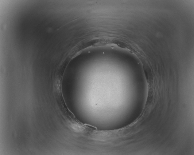 X0000073840045200608171018