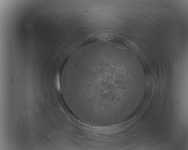 X0000073840046200608171018