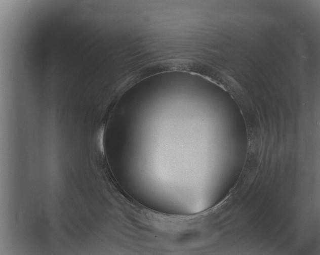 X0000073840047200608171018