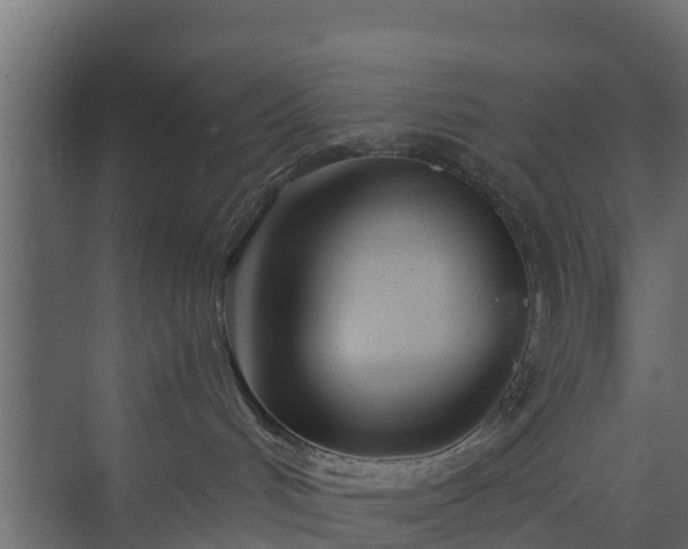 X0000073840048200608171018