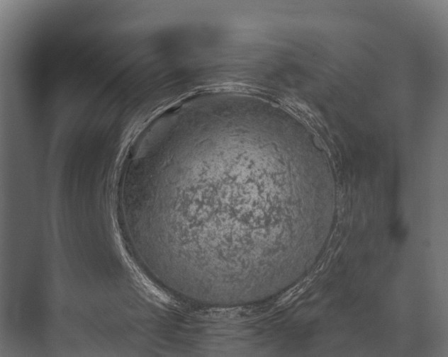 X0000073840049200608171017