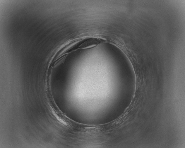 X0000073840050200608171017