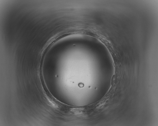 X0000073840051200608171017