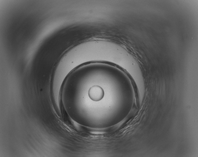 X0000073840052200608171017