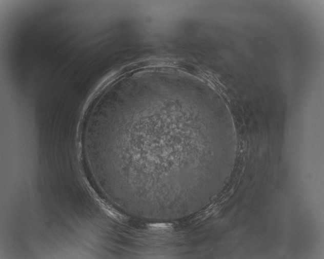 X0000073840053200608171017