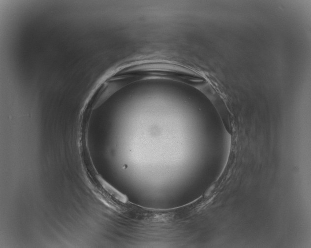 X0000073840056200608171017