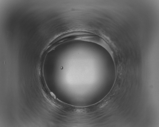 X0000073840060200608171017