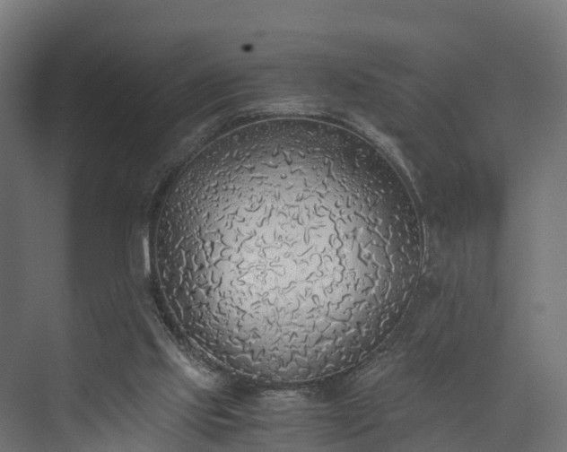 X0000073840061200608171017