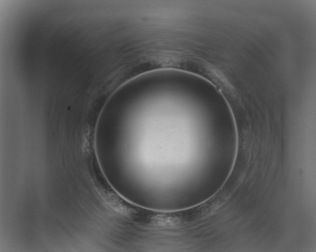 X0000073840073200608171018